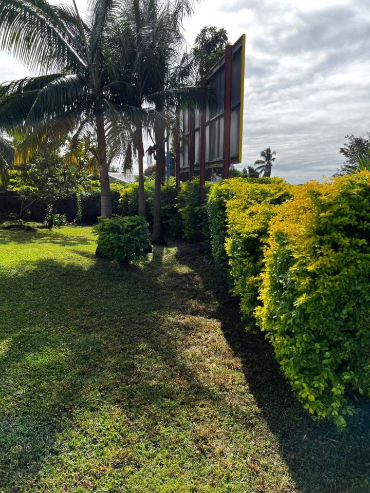 Taille de haies La Réunion