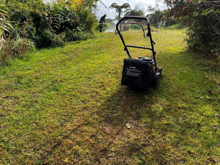Tondeuse à gazon autoportée La Réunion