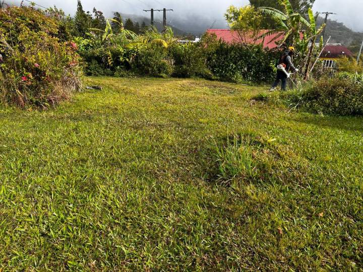 Débroussaillage espace vert La Réunion