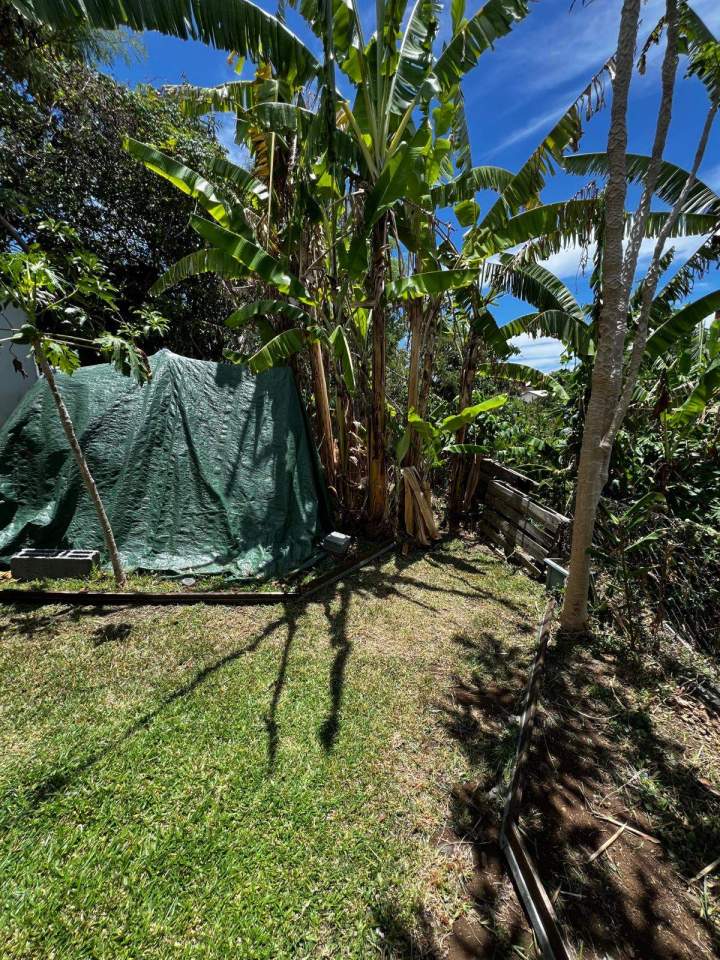 Aménagement espace vert La Réunion