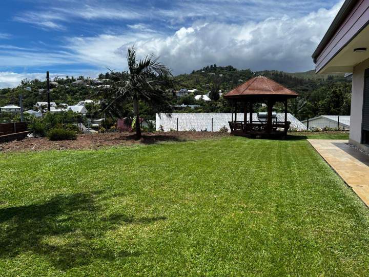 Pelouse après tonte La Réunion