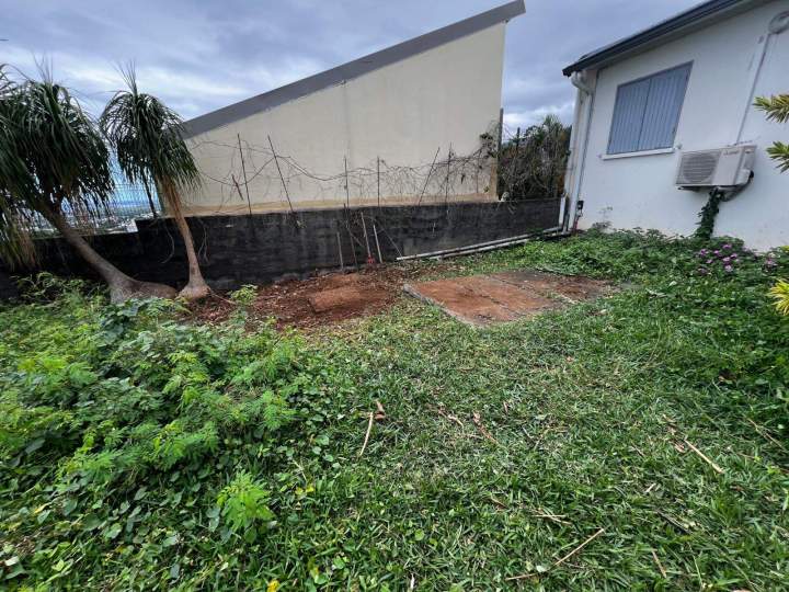Débroussaillage arrière cours La Réunion