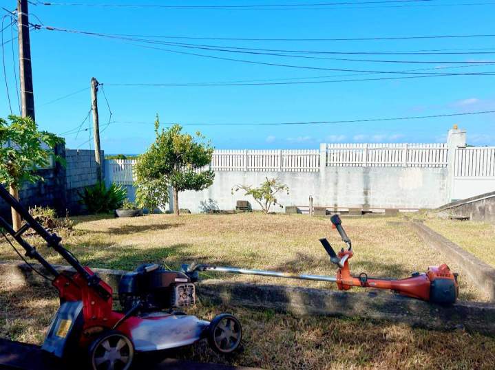 Tonte de pelouse La Réunion