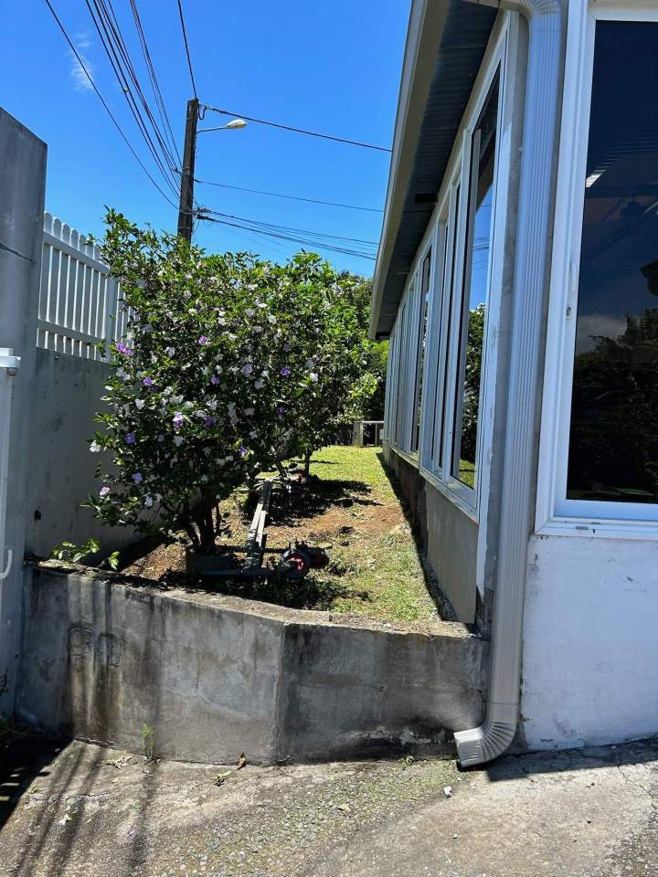 Remise en état espace vert La Réunion