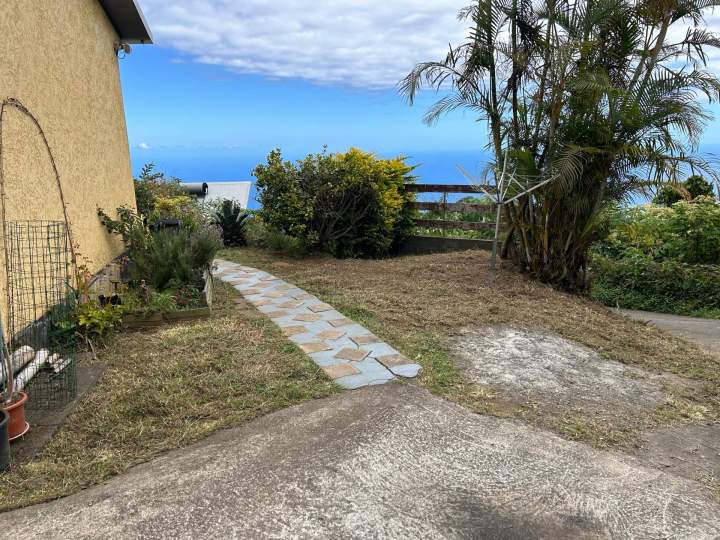 Aménagement allée de jardin La Réunion