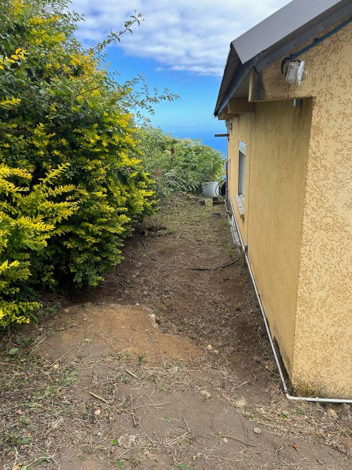 Taille d'arbustes La Réunion