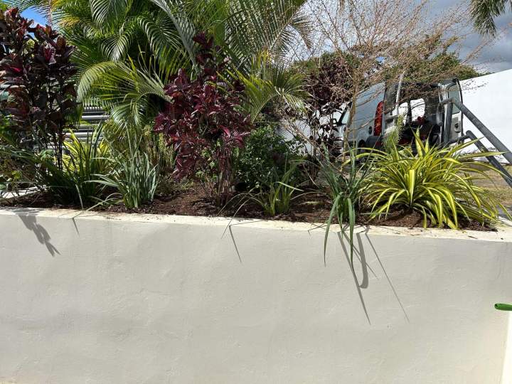 Aménagement de jardin La Réunion