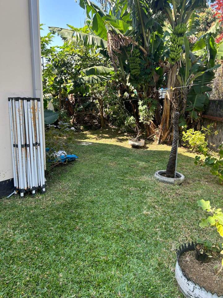 Entretien espace vert La Réunion