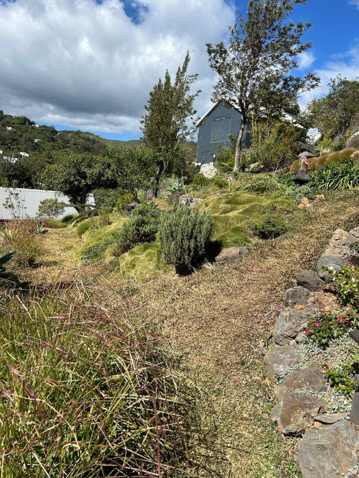 Entretien jardin La Réunion