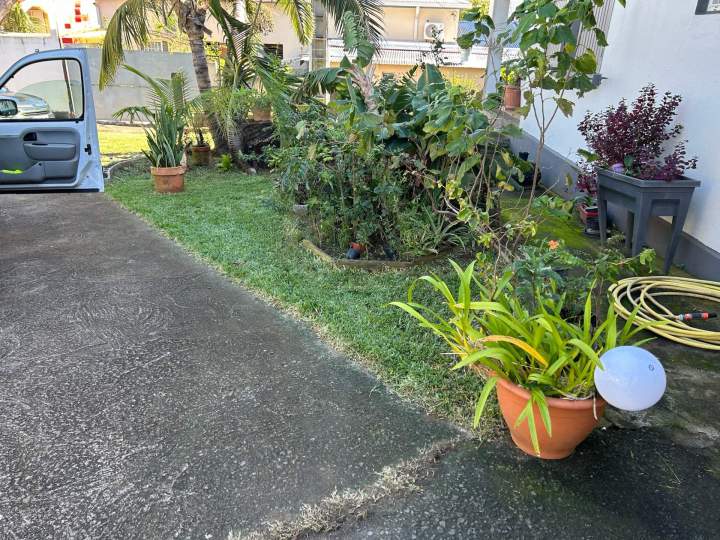 Entretien courant des zones plantées La Réunion