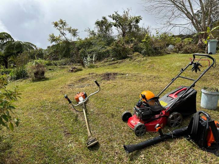 Nettoyage de jardin La Réunion