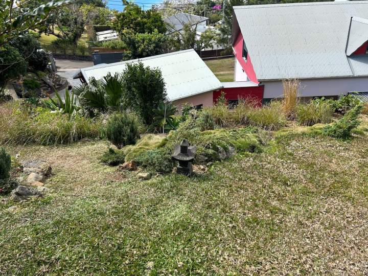 Prise en charge des jardins et espaces plantés La Réunion