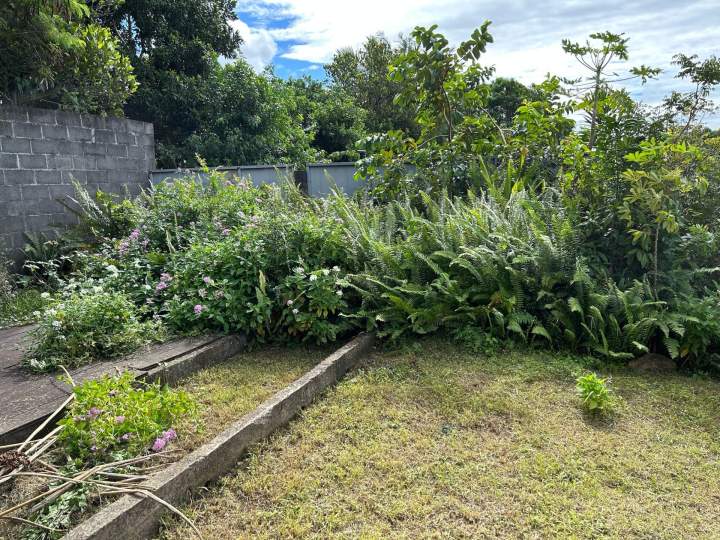 Gestion des extérieurs végétalisés La Réunion
