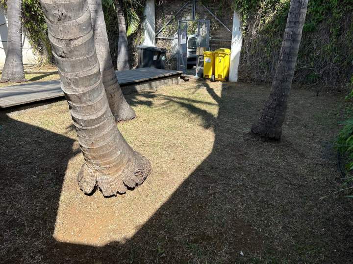 Tonte de gazon de jardin La Réunion