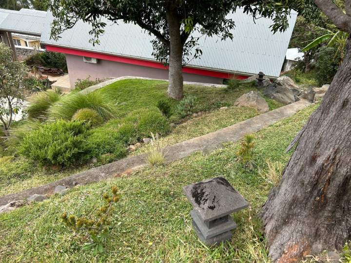 Entretien espace végétalisé La Réunion