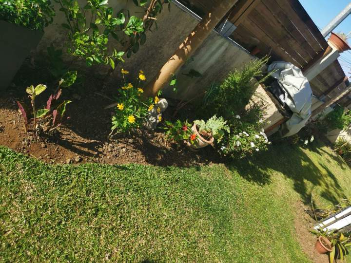Prise en main des espaces végétalisés La Réunion
