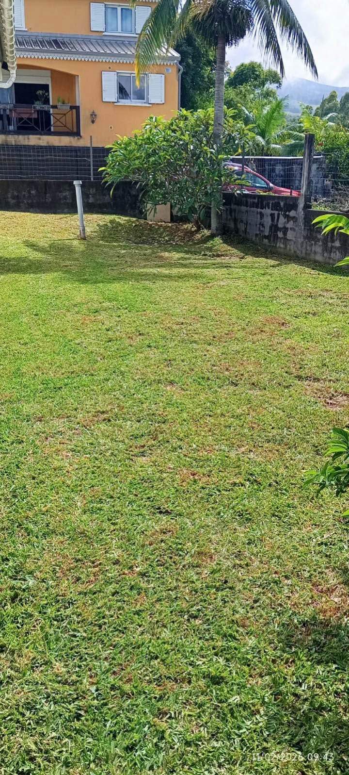 Jardinage La Réunion (1)