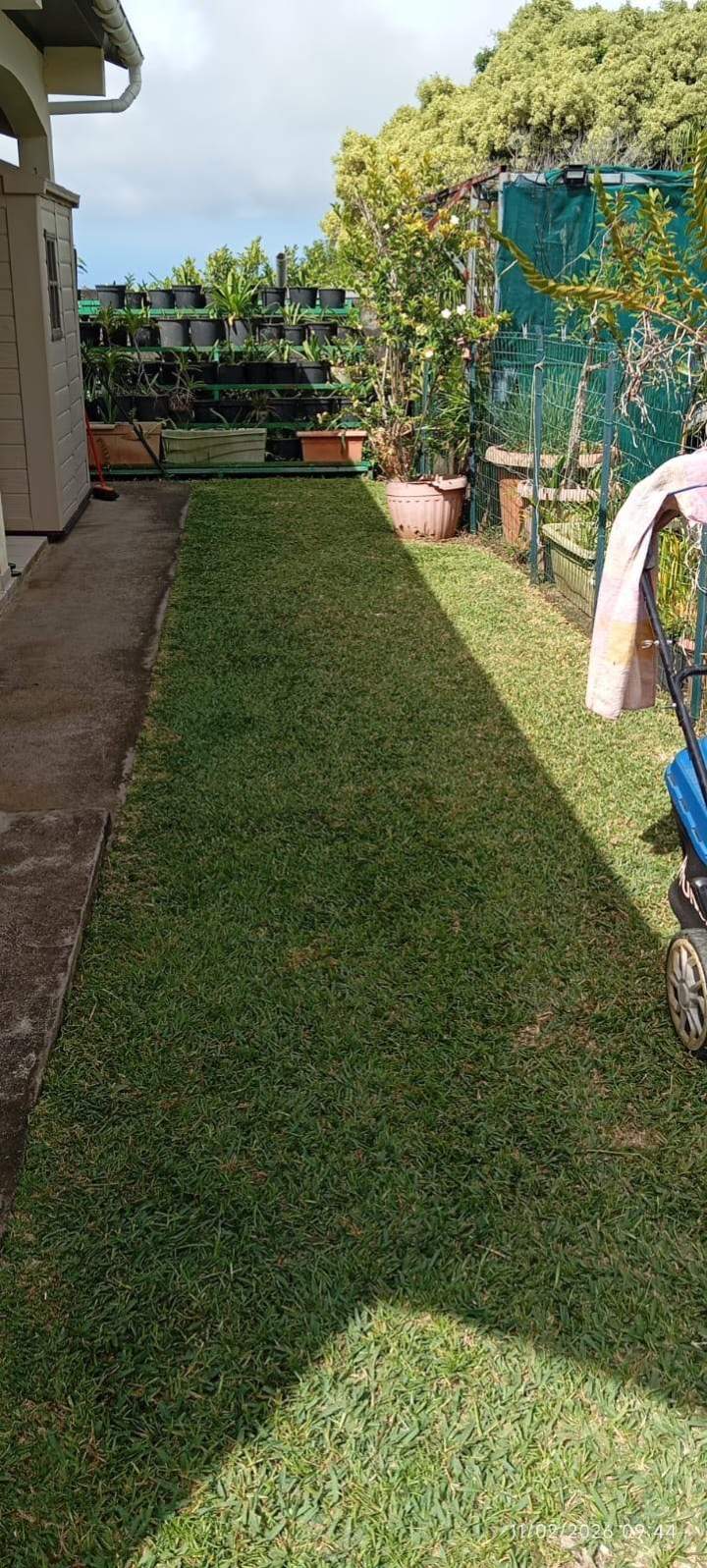Jardinage La Réunion (4)