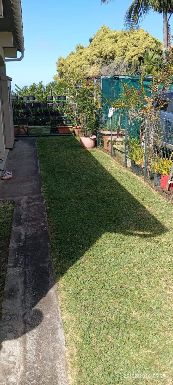 Jardinage La Réunion (5)
