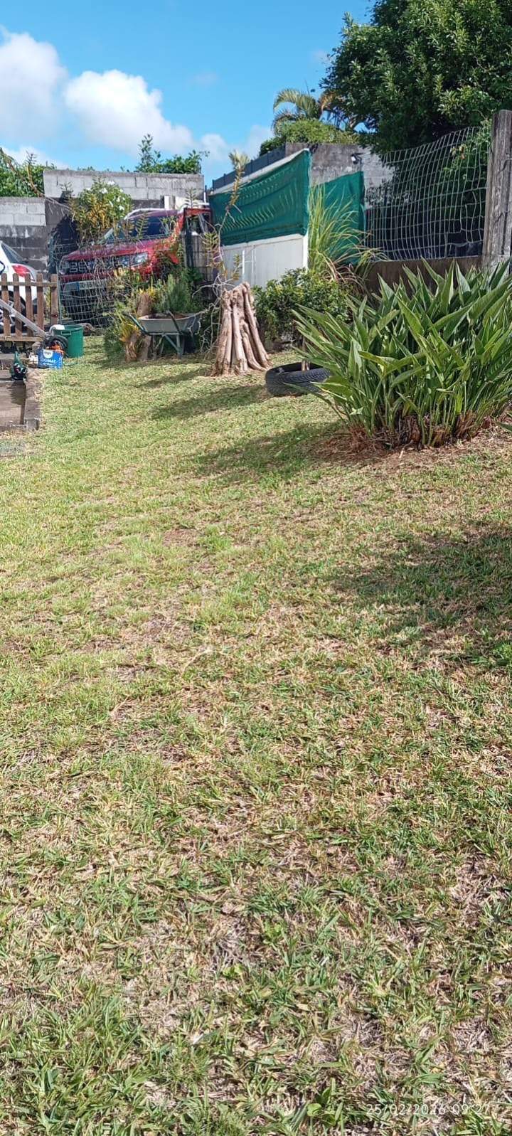 Jardinage La Réunion (6)