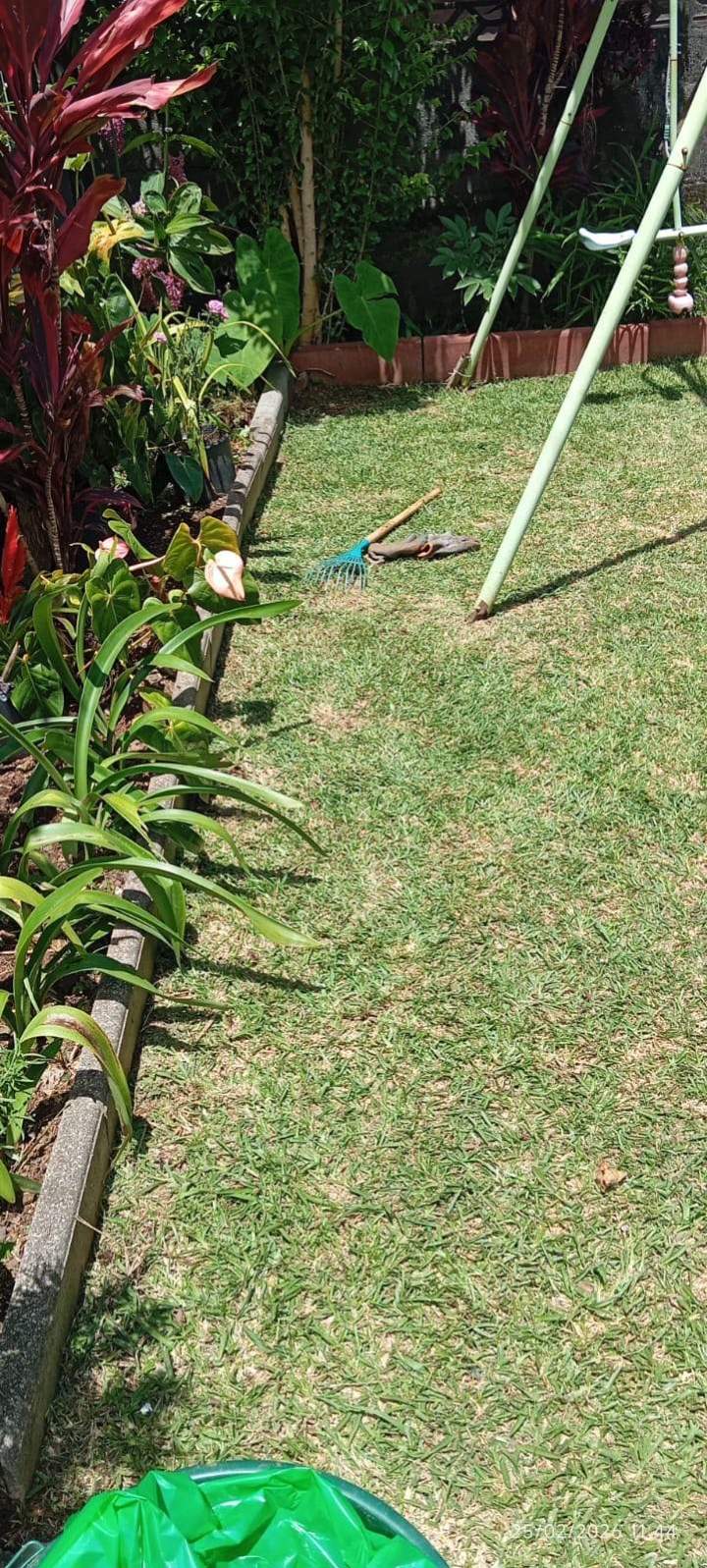 Jardinage La Réunion (7)