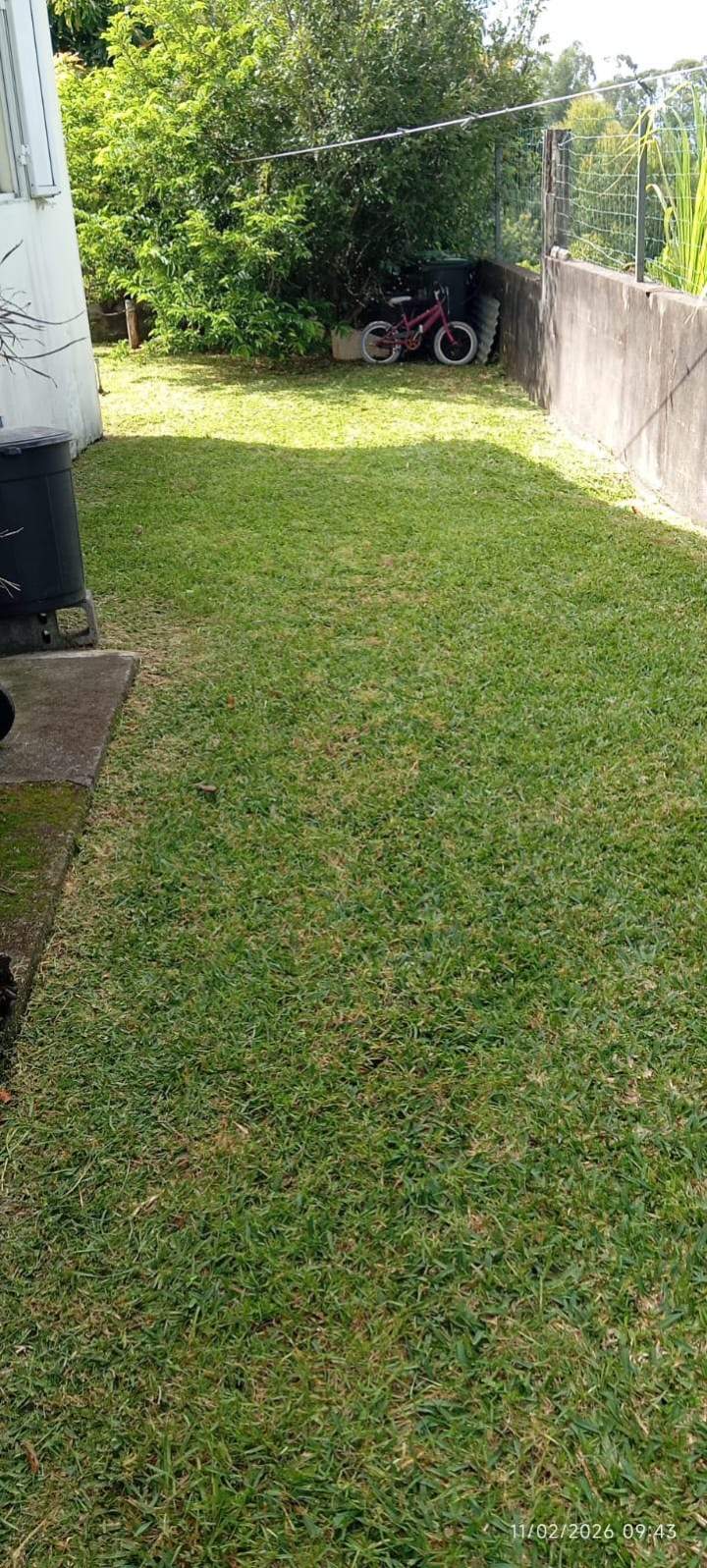 Jardinage La Réunion (8)