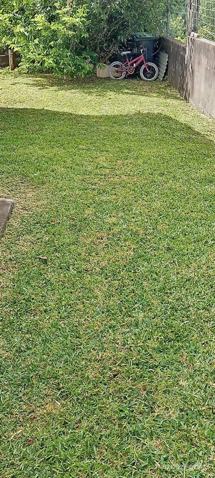 Jardinage La Réunion (9)