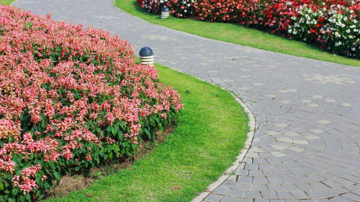 Entretien de jardin La Réunion
